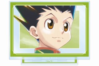 ハンターハンター ゴン Ani-Art aqua label 第2弾 BIGアクリルスタンド
 アニメイトで
2025/06/07 発売