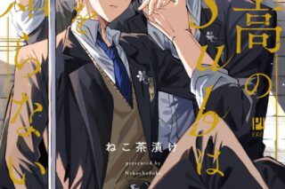 [BL漫画] 孤高のSubは恋を知らない
 
2025年9月20日発売
で取扱中