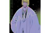 TVアニメ『BLEACH 千年血戦篇』 A4シングルクリアファイル 平子 真子/カミアニTOUCH アニメイトで
2025年12月発売