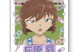 名探偵コナン インスタントフォトマグネット9(灰原哀)
 
2025年12月中旬発売
