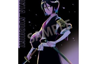 TVアニメ『BLEACH 千年血戦篇』 A4シングルクリアファイル 朽木 ルキア/カミアニTOUCH アニメイトで
2025年12月発売