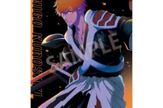 TVアニメ『BLEACH 千年血戦篇』 A4シングルクリアファイル 黒崎 一護/カミアニTOUCH
 
2025年12月発売
で取扱中