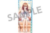 五等分の花嫁* 描き下ろしスリムタペストリー 中野三玖 ナイトウェア ver.
 
2025年11月発売
で取扱中 (アニメイト)