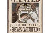ワンピース 208-145 ユースタス ”キャプテン” キッド
 アニメイトで
2024年08月発売