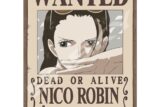 ワンピース 208-140 考古学者 ”悪魔の子” ニコ・ロビン
 アニメイトで
2024年08月上旬発売