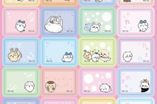 ちいかわ スケジュールデコシール①【再販】
 
2025年04月発売
 【アニメイト】