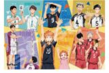 アニメハイキュー!! 70-L17 ハンドサインをおぼえよう!
 
2025年02月発売
で取扱中