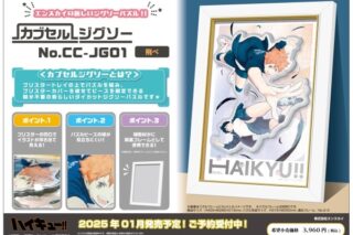 アニメハイキュー!! CC-JG01 飛べ
 
2025年02月上旬発売
で取扱中