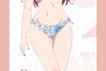 彼女、お借りします (かのかり) 第2期 [描き下ろし]BIGタペストリー 水着Ver.水原千鶴
 
2023年05月下旬発売