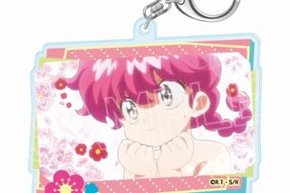 らんま1/2 百面相キーホルダー らんま
 
2025年3月16日発売