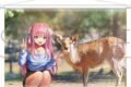 ヘブンバーンズレッド タペストリー/逢川めぐみ アニメイトで
2025/09/27 発売