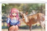 ヘブンバーンズレッド タペストリー/逢川めぐみ アニメイトで
2025/09/27 発売