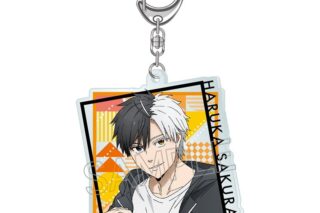 ウィンドブレイカー (ウィンブレ) シャインシリーズ アクリルキーホルダー 桜遥【再販】
 
2025年11月下旬発売