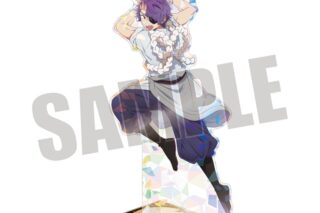 TVアニメ【推しの子】 「東京ブレイド」 ホログラムBIGスタンド 鳴嶋メルト(キザミ Ver.)
 アニメイトで
2024/12/23 発売