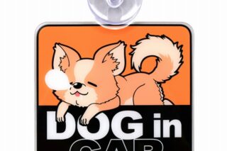 ゆるキャン△ ちくわカーサイン DOG in CAR アニメイトで
2023年08月 上旬 発売