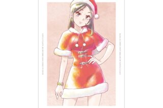 青春ブタ野郎はサンタクロースの夢を見ない ミニスカサンタ Ani-Art aqua label A3マット加工ポスター
 
2026年1月17日発売
で取扱中