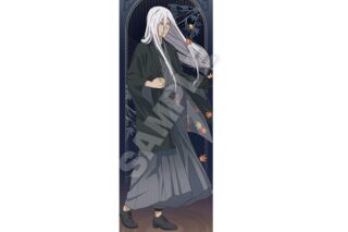 家庭教師ヒットマンREBORN! スリムタペストリー 秋和服ver. スクアーロ
 アニメイトで
2025年11月発売