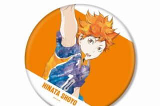 ハイキュー!! 日向翔陽 Ani-Art 第3弾 BIG缶バッジ【再販】
 アニメイトで
2025年6月17日発売