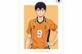ハイキュー!! 影山飛雄 セカンドユニフォームver. A3マット加工ポスター【再販】
 アニメイトで
2025年6月17日発売