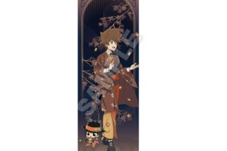 家庭教師ヒットマンREBORN! スリムタペストリー 秋和服ver. 沢田綱吉&リボーン
 アニメイトで
2025年11月発売