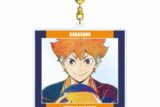 ハイキュー!! 日向翔陽 Ani-Art 第4弾 BIGアクリルキーホルダー【再販】
 アニメイトで
2025年6月17日発売