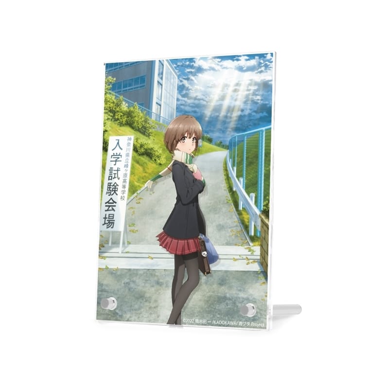 青春ブタ野郎はおでかけシスターの夢を見ない キービジュアル ダブルアクリルパネル【再販】
 
2026年1月17日発売
で取扱中