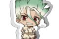 Dr.STONE 厚みアクリルスタンド 石神千空【再販】
 アニメイトで
2025年12月中旬発売