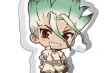 Dr.STONE 厚みアクリルスタンド 石神千空【再販】
 アニメイトで
2025年12月中旬発売