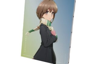 青春ブタ野郎はおでかけシスターの夢を見ない 梓川花楓 キャンバスボード ver.B【再販】
 
2026年1月17日発売
で取扱中