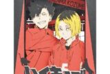 アニメハイキュー!! 【リニューアル】PT-173X 黒尾鉄朗・狐爪研磨
 
2024年08月発売
で取扱中