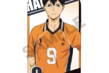 ハイキュー!! ミニクッションスタンド 影山飛雄
 アニメイトで
2025年07月発売
