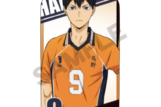 ハイキュー!! ミニクッションスタンド 影山飛雄
 アニメイトで
2025年07月発売