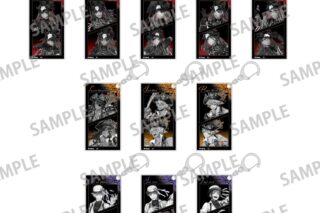 『ツイステ』 トレーディングスリムキーホルダーvol.1/スケアリー・ドレスver.(モノクローム)
 アニメイトで
2025年10月発売