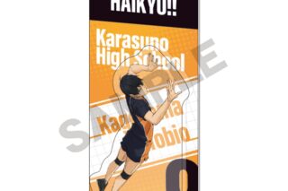 ハイキュー!! パッケージ風アクリルキーホルダー 影山飛雄
 アニメイトで
2025年07月発売