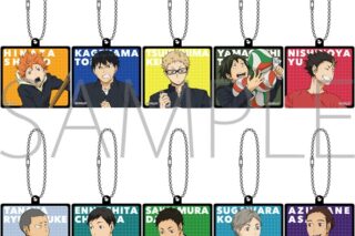 ハイキュー!! アクリルキーホルダーコレクション
 
2025年11月21日発売