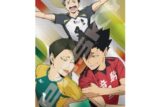 アニメハイキュー!! 1000T-536　東京決戦
 アニメイトで
2025年06月発売