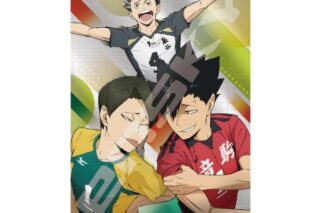 アニメハイキュー!! 1000T-536　東京決戦
 アニメイトで
2025年06月発売