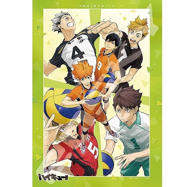 アニメ『ハイキュー!!』 1000T-508 強敵
 
2024年06月発売
で取扱中