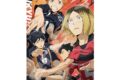 アニメハイキュー!! 1000T-535　激闘
 アニメイトで
2025年06月発売
