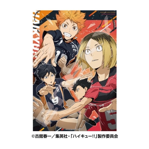 アニメハイキュー!! 1000T-535　激闘
 アニメイトで
2025年06月発売