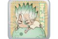 Dr.STONE ふわみん缶ケース 石神千空
 アニメイトで
2025年12月発売