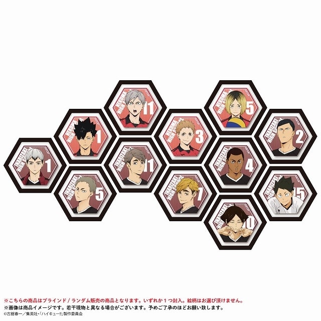 ハイキュー!! 六角ミニキャンバスマグネット 音駒高校、稲荷崎高校Ver.【再販】
 アニメイトで
2025年05月発売