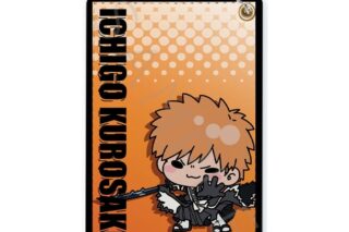 TVアニメ『BLEACH 千年血戦篇』 パスケース A(黒崎一護) アニメイトで
2025年12月 下旬 発売