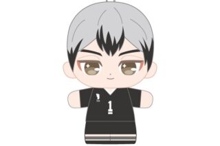 ハイキュー!! ぷりぬいたっちどりーむみにみに 北 信介
 
2026年01月発売
で取扱中