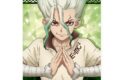 Dr.STONE アクリルポートレートA[石神千空]【再販】
 アニメイトで
2025年12月中旬発売