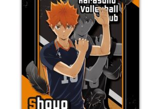 アニメハイキュー!! ペーパーシャドーアートミニ SA-M07 日向翔陽
 アニメイトで
2025年04月発売