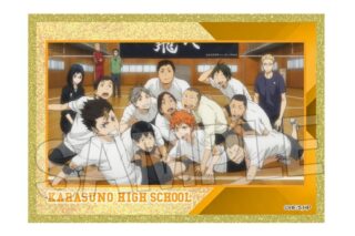 ハイキュー!! 場面写アクリル色紙プレミアム 13
 
2025年12月発売