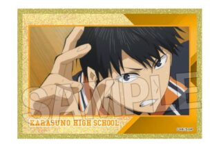 ハイキュー!! 場面写アクリル色紙プレミアム 12
 
2025年12月発売