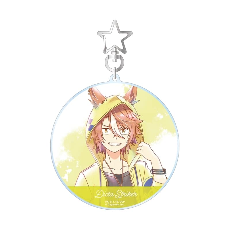 アニメウマ娘 シンデレラグレイ ディクタストライカ Ani-Art aqua label BIGアクリルキーホルダー
 
2026年2月7日発売