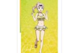 TVアニメ「かぐや様は告らせたい」 描き下ろしイラスト 藤原千花 水着ver. A3マット加工ポスター アニメイトで
2025/12/17 発売
